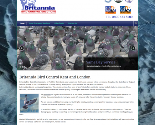 Britannia Website